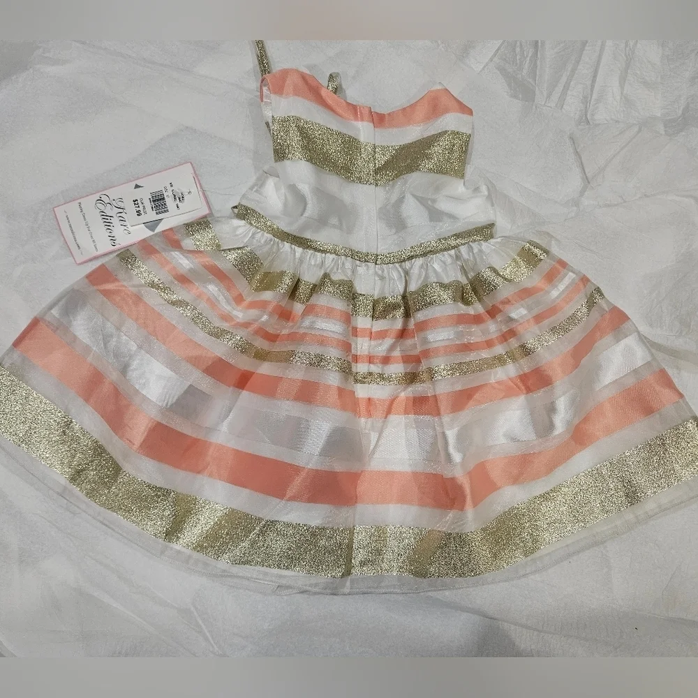 Rare Editions Holiday Dress SZ 2T